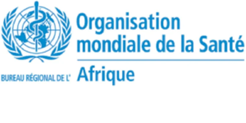 Responsable du graphisme et de la visibilité - Volontariat à l'OMS
