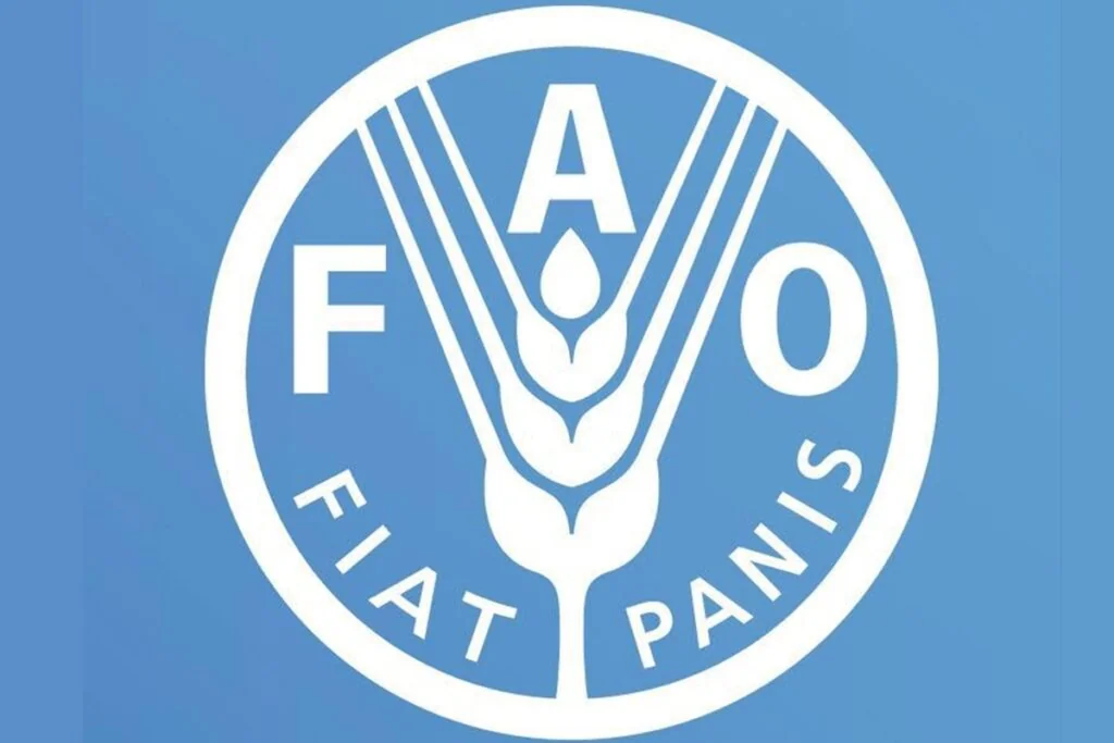 Spécialiste national(e) de la planification et des politiques d’adaptation des pêches à la FAO