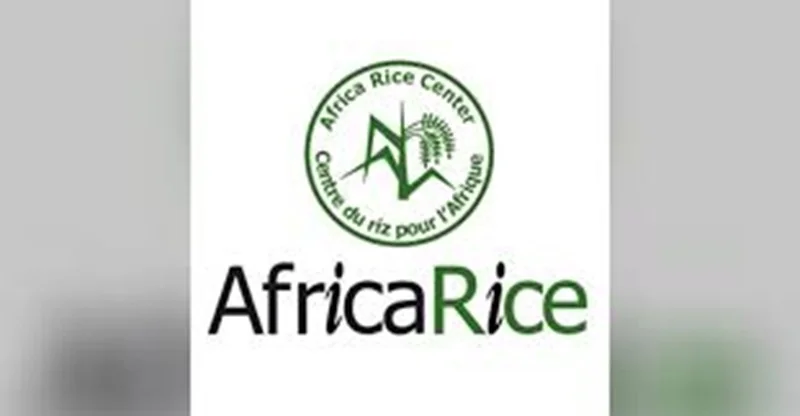 Offres d'emploi au Centre du riz pour l'Afrique (AfricaRice)