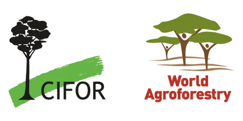 Recrutement Consultant en Statistiques - CIFOR / ICRAF