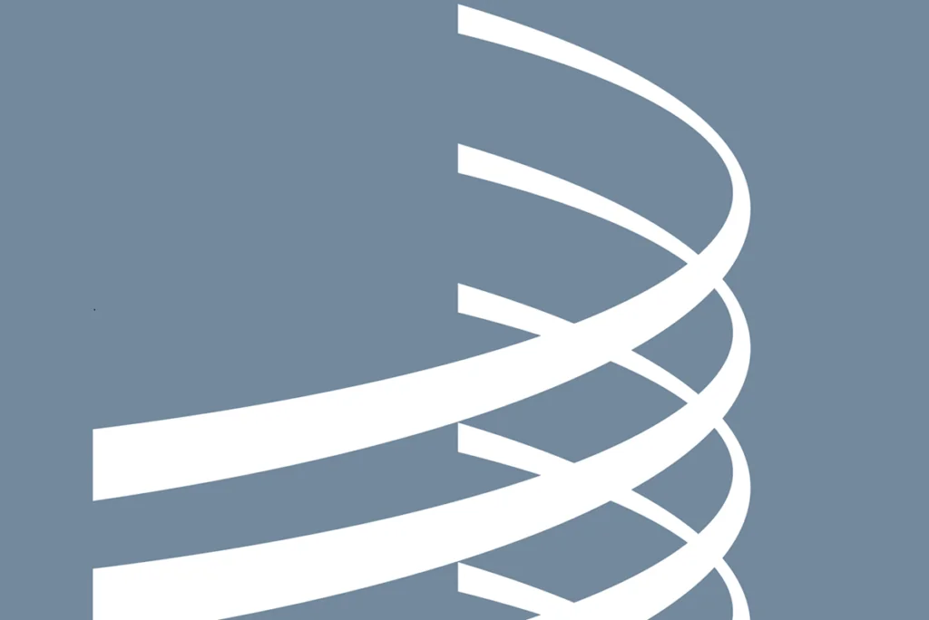 Directrice, Programme de données sur l’économie créative (OMPI)