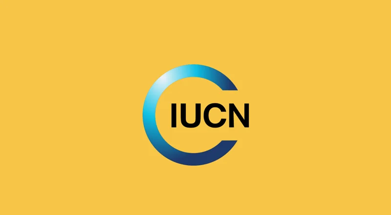 Assistant de passation de marchés WACA-BAR chez UICN