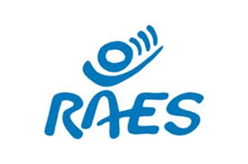 Directeur Administratif et Financier (DAF) - ONG RAES