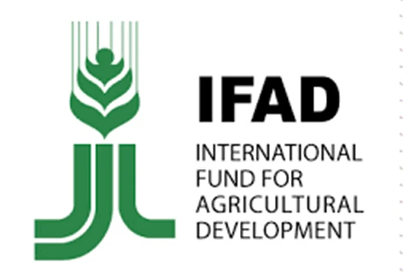 Recrutement Directeur Pays - Fonds International de Développement Agricole (FIDA)