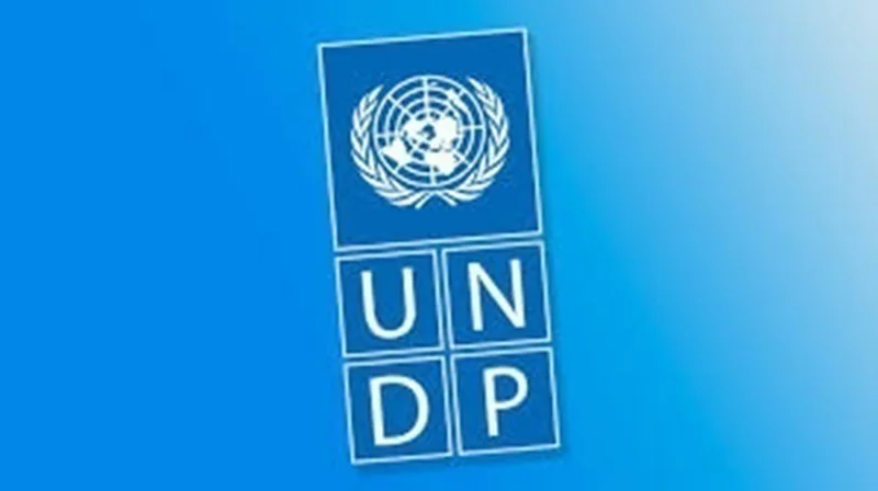 Recrutement Consultant : Étude d'impacts économiques et financiers (PATRANSS) - PNUD