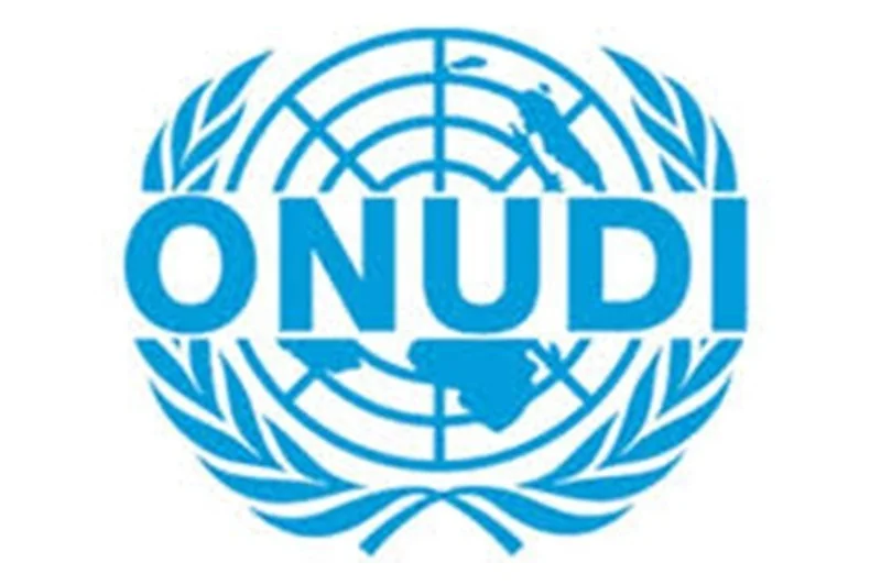 Recrutement d'un(e) Chargé(e) de programme national - ONUDI