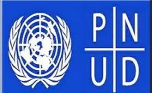 Spécialiste Nationale en Cohésion Sociale - Recrutement PNUD