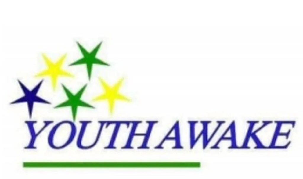 Recrutement de Consultant - ONG Youth Awake