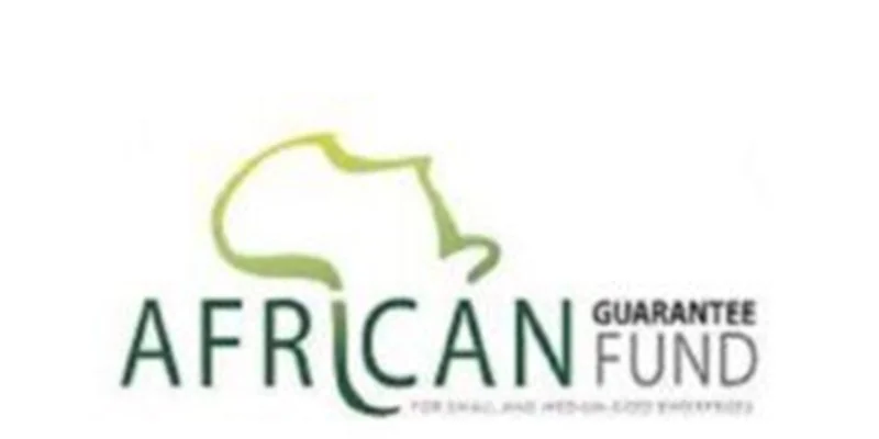 Analyste Financier - African Guarantee Fund (AGF)