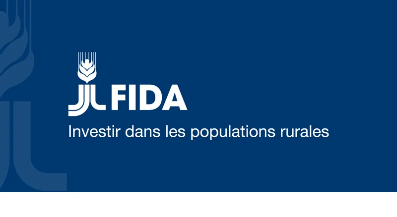 Spécialiste en partenariats avec le secteur privé (Volontaire) - FIDA