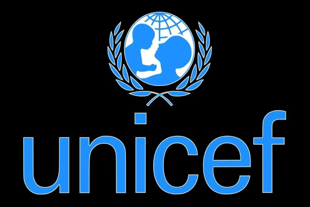 Analyste stratégique politique et socio-économique (P-4) - UNICEF