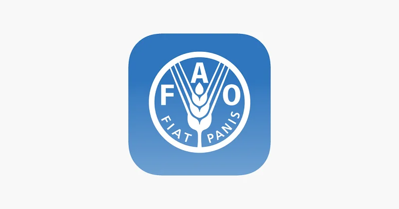 Opportunités d'emplois au bureau de la FAO