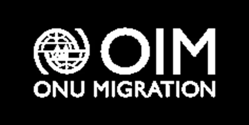 Programme de Volontariat des Nations Unies : Responsable gestion des rapports et information (OIM)