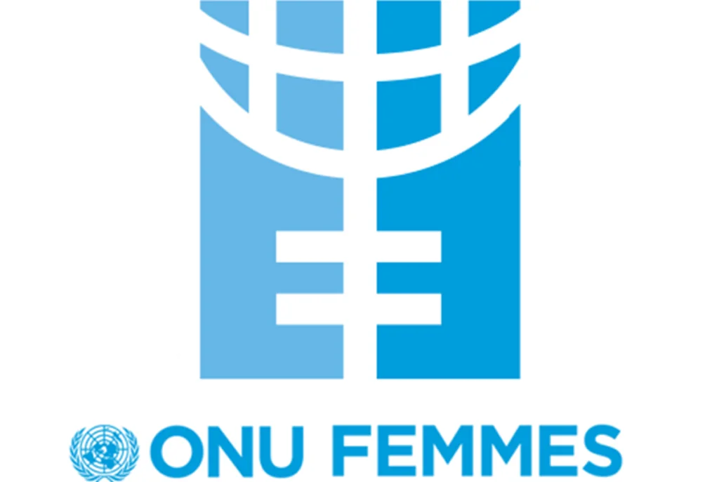 Analyste de programme, Femmes, Paix, Sécurité et Action Humanitaire (IPSA-9) - ONU Femmes