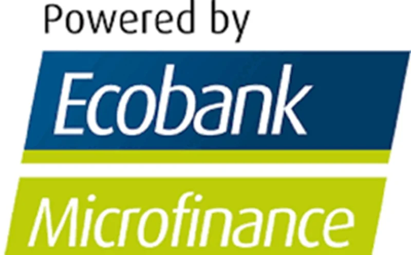 Recrutement d'un Auditeur Interne Sénior chez Pan-African Savings & Loans (Ecobank Microfinance)