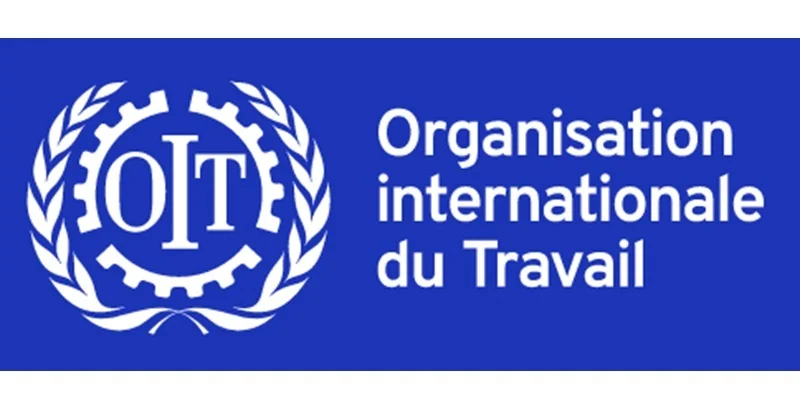 Opportunités de carrière à l'Organisation Internationale du Travail (OIT)