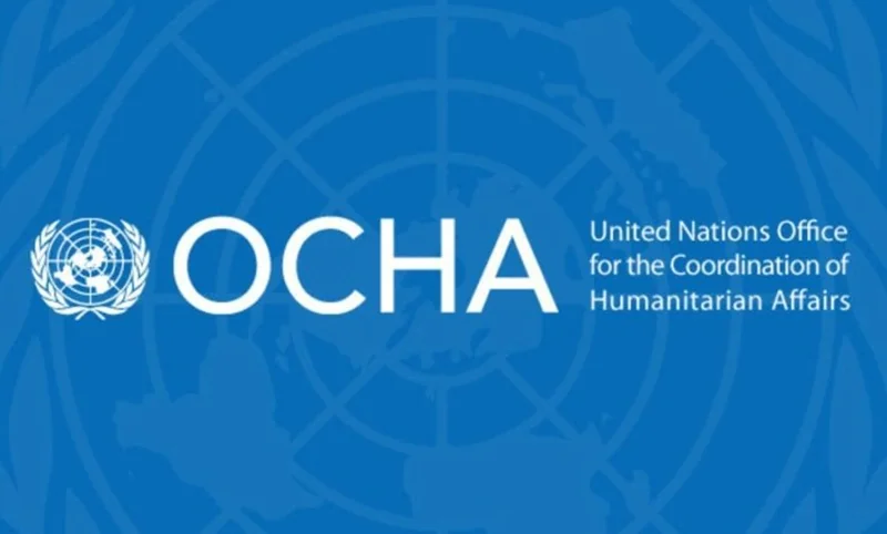 Ingénieur en intelligence artificielle / Responsable de la transformation numérique (Volontariat OCHA)