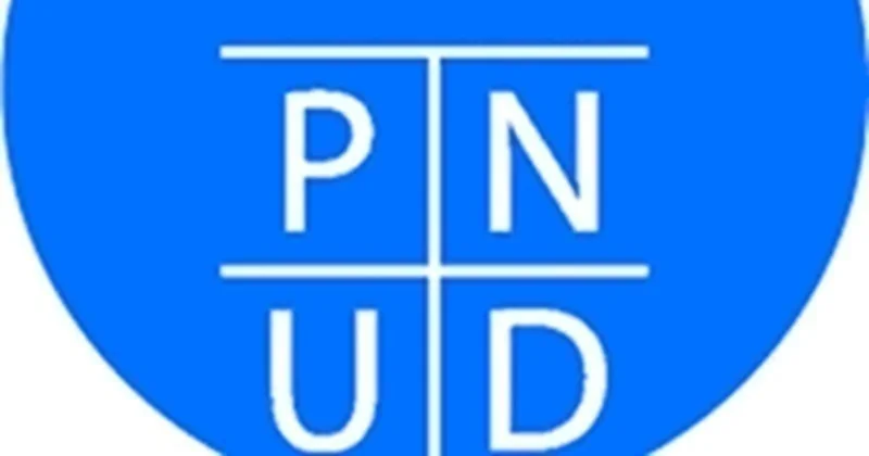 Coordonnateur(rice) Projet NPAP au PNUD Sénégal