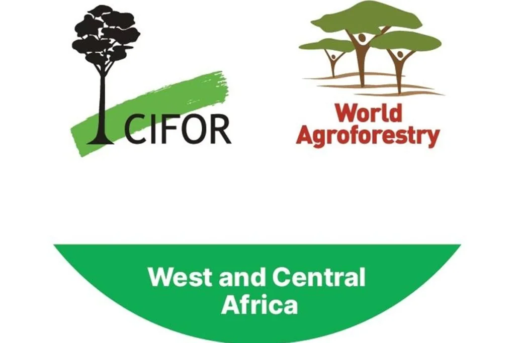Analyste des opérations commerciales – Afrique – CIMMYT (CIFOR-ICRAF)