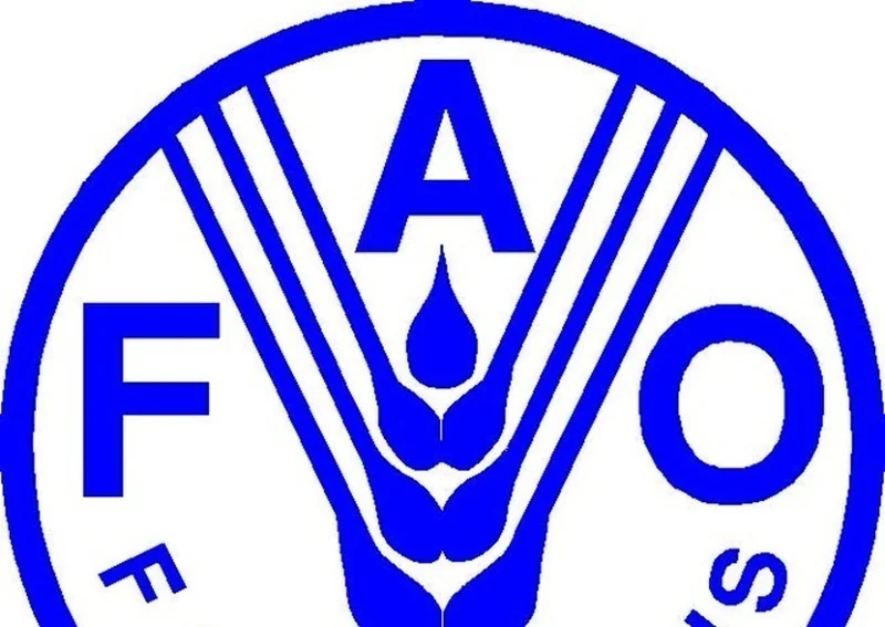 Spécialiste en conception de projets GEF (FAO)