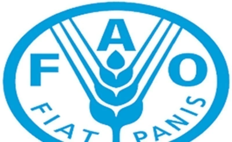 Recrutement FAO : Spécialiste national de la gestion des ressources sensibles aux conflits (Ghana)
