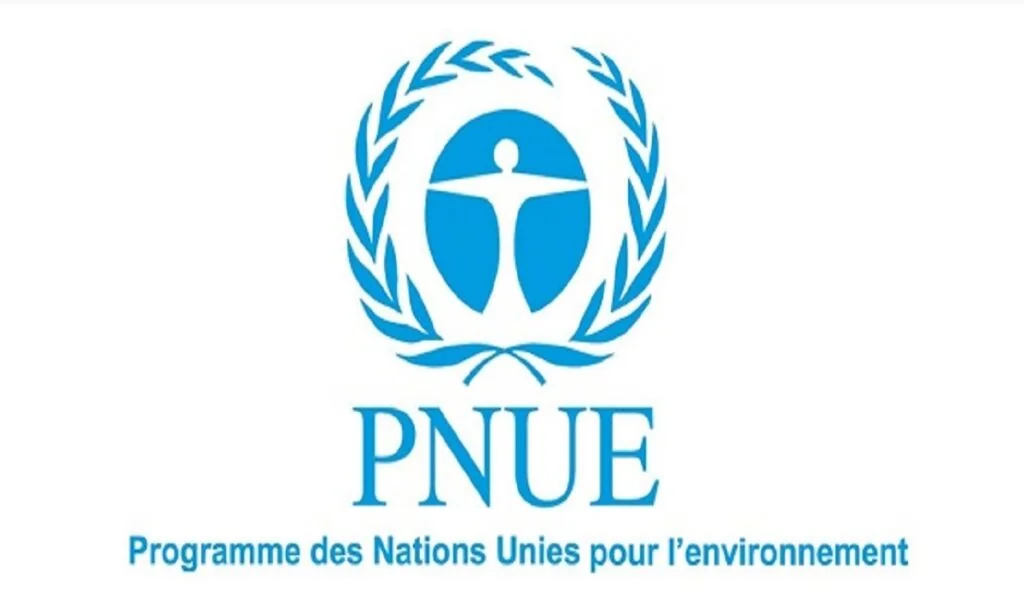 Consultant en politiques TIC et transformation numérique durable au PNUE