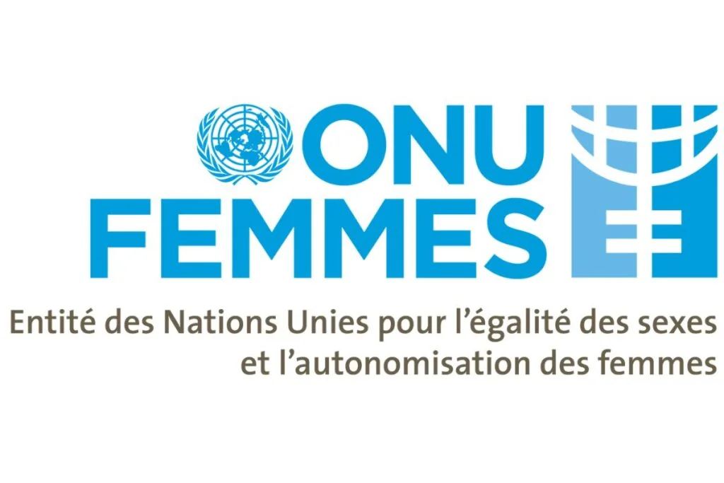 Consultant(e) pour l’évaluation du Programme africain de statistiques de genre (PASG) - ONU Femmes