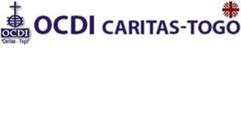Recrutement de Chef Comptable et Comptable - OCDI/Caritas Togo