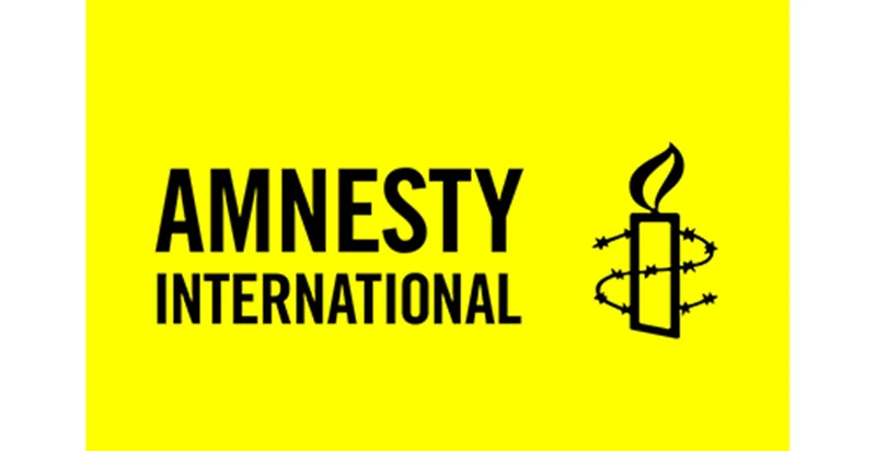 Agent financier des subventions chez Amnesty International