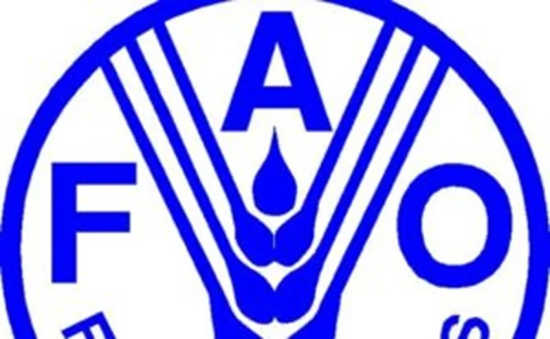 Recrutement : Spécialiste technique (Élaboration de notes conceptuelles) - FAO