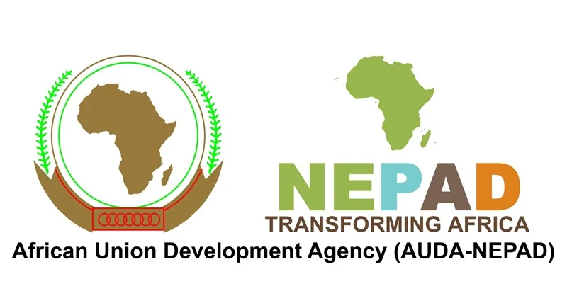 Chargé de programme, coordination de projets à l'Agence de développement de l'Union africaine