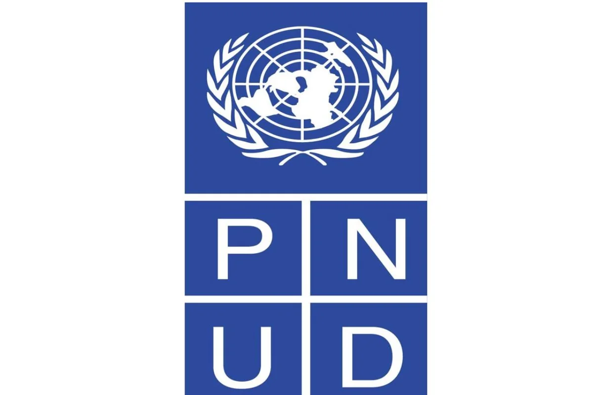 Analyste en suivi et gestion des risques environnementaux et sociaux - PNUD Congo