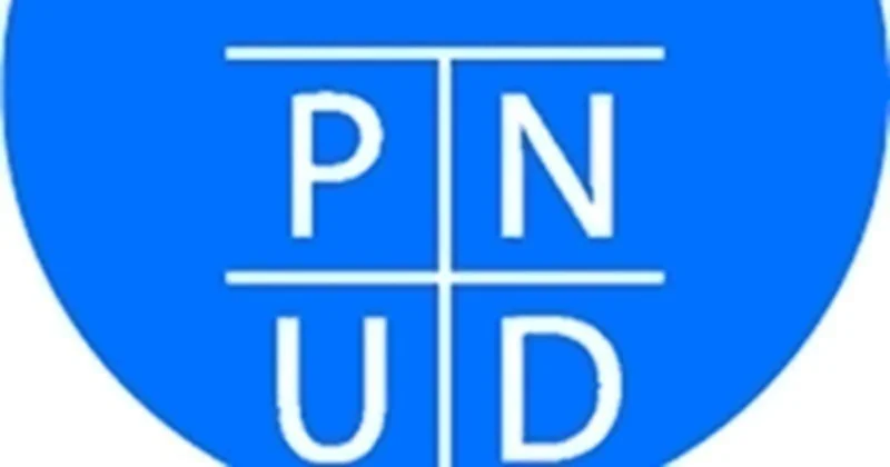 Responsable de l’analyse des données sur l’emploi et l’autonomisation des jeunes - PNUD Nigéria