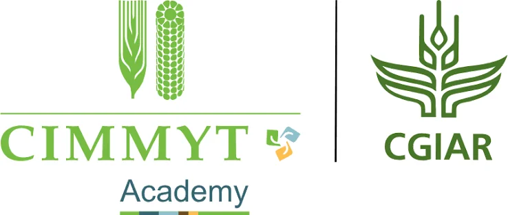 Recrutement : Chauffeur / Opérateur de tracteur au CIMMYT (Sénégal)