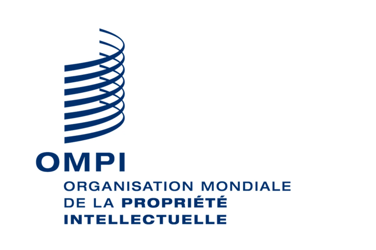 Directeur, Division Innovation Impact (IID) Ă l'OMPI