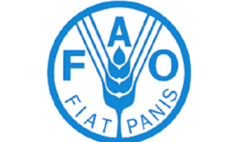 Recrutement : Spécialiste des opérations de projets d’urgence (Consultant) - FAO