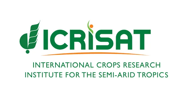 Scientifique – Éleveur de millet perlé chez ICRISAT