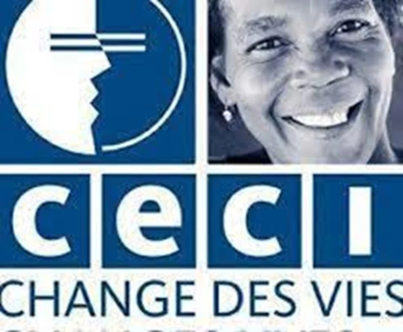 Conseiller-ère en communication visuelle et design graphique (Programme de coopération volontaire)