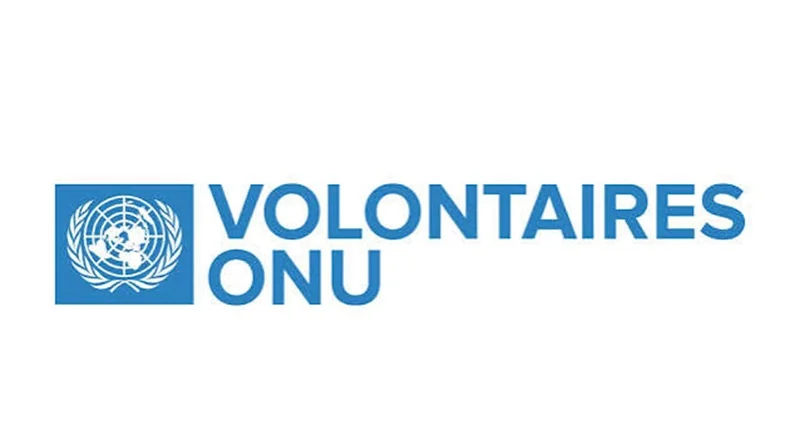 ONU Volontaires recrute 25 bénévoles pour une mission de collecte de données