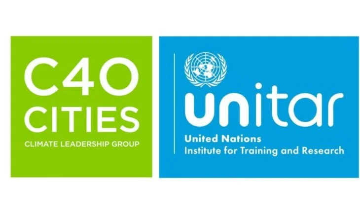 Formation en ligne gratuite : Leadership féminin dans l'action climatique (UNITAR)