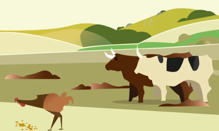 Cours gratuit et certifiant de la FAO : Le rôle de l’élevage dans les systèmes de bioéconomie circulaire
